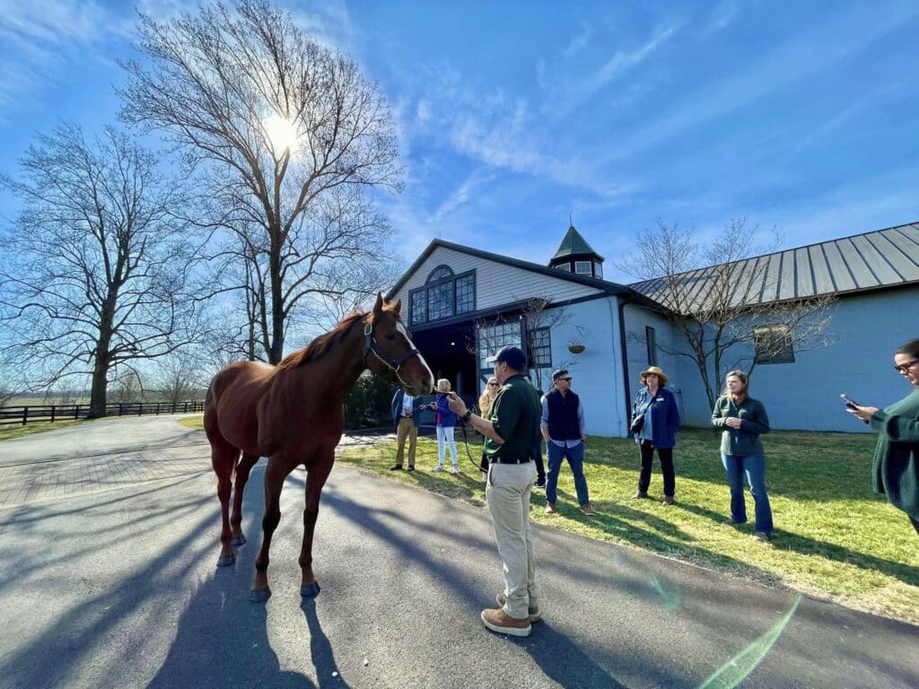 Springtime in Kentucky: Horse Highlights & Bourbon Abounds! 1 Kentucky Horse Farm Tour at Airdrie Stud